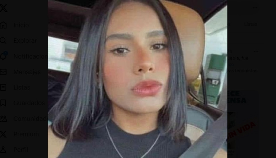 Hallan Sin Vida A Luisa Fernanda En Puebla Desapareci En Acapulco