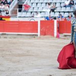 toros_violencia